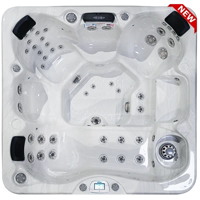 Avalon-X EC-849LX hot tubs for sale in Evanston